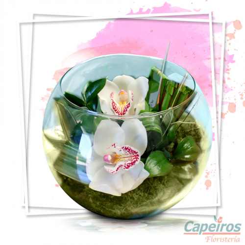 Pecera con Orquideas