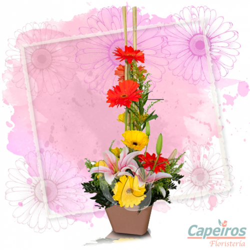 Primaverales 024