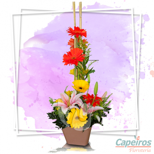 Primaverales 024