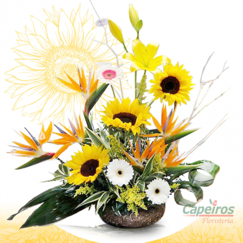 Girasoles 04