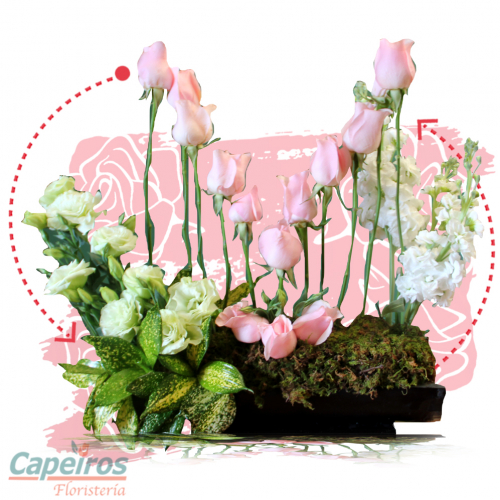 Jardinera de Rosas