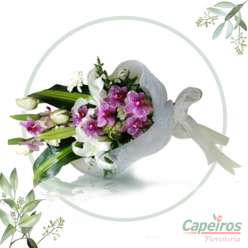 Especial de Orquideas