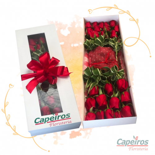 Caja de Rosas 04