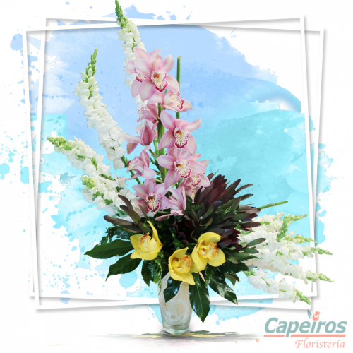 Orquideas 27