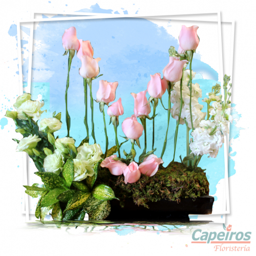 Jardinera de Rosas