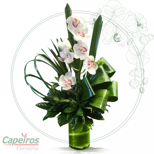 Orquideas 41