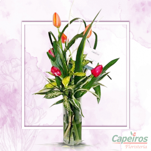 Tulipanes 15