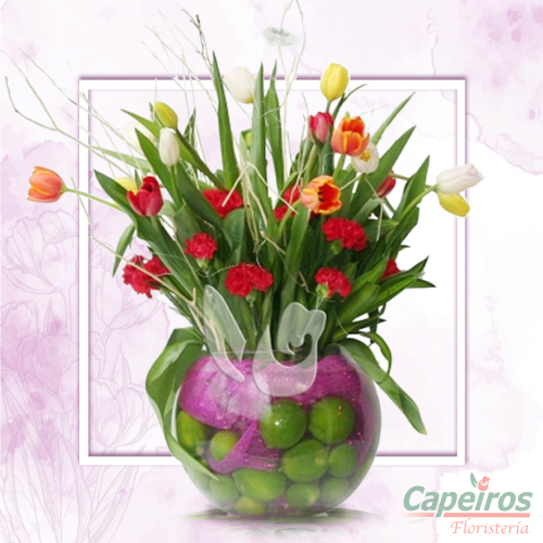 Tulipanes 19