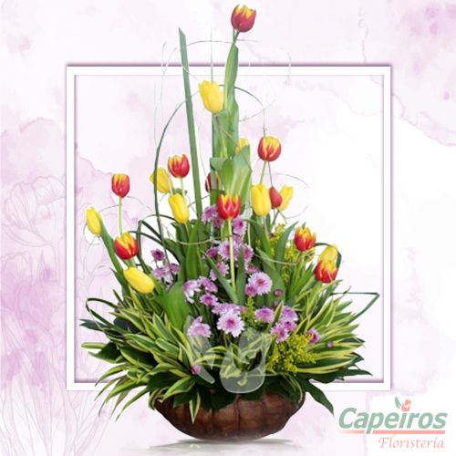 Tulipanes 21