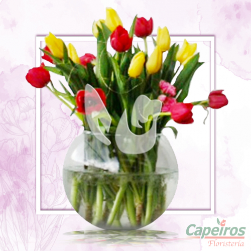 Tulipanes 23