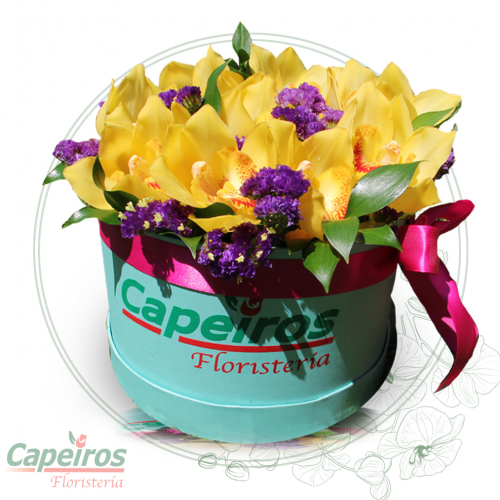 Caja de Orquideas 1