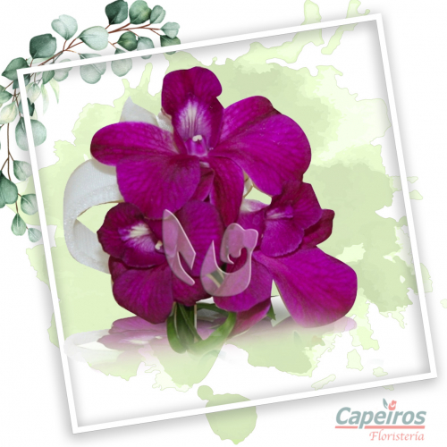 Corsage 03