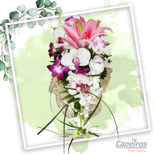 Ramo Boda 04