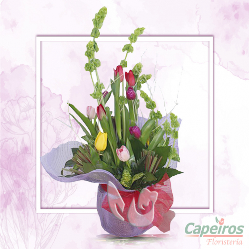 Tulipanes 30