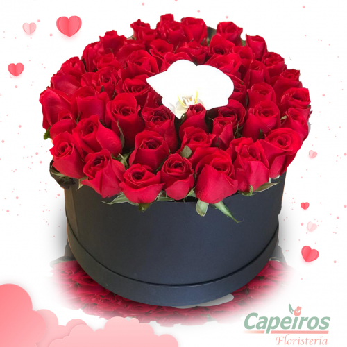 Caja de Rosas y Orquídea