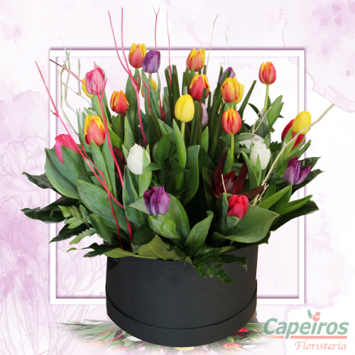Caja de Tulipanes 3