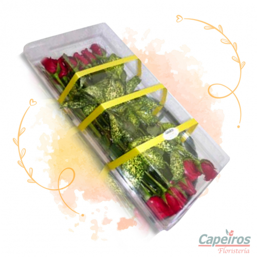 Caja de Rosas 02