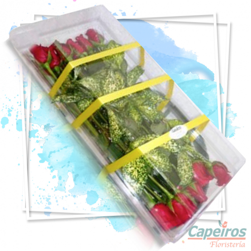 Caja de Rosas 02