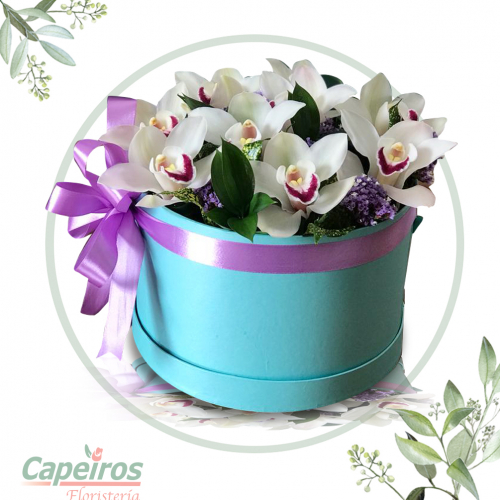 Caja de Orquideas 3