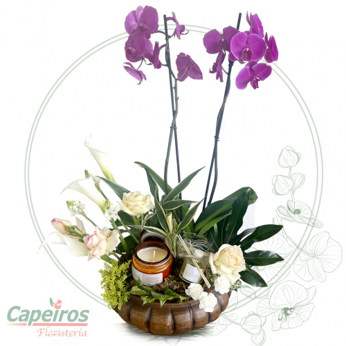 Orquideas 51