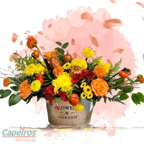 Primaverales 091