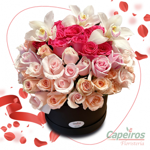 Caja de Rosas 09