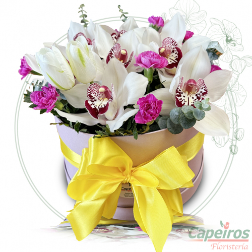 Caja de Orquideas 5