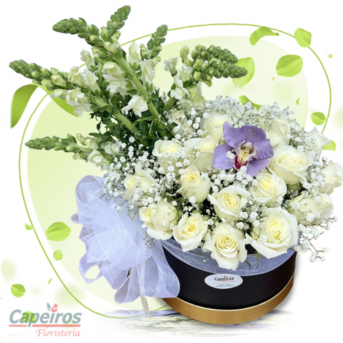 Rosas 131