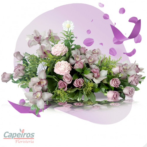 Rosas 146