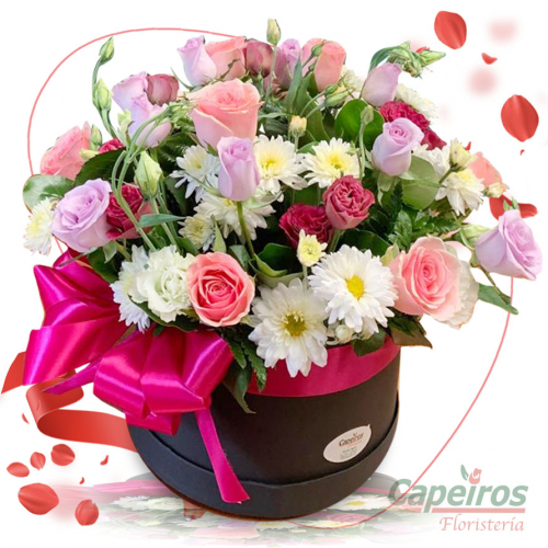 Rosas 134