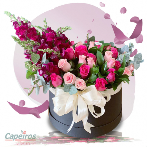 Rosas 136