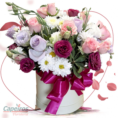 Rosas 137