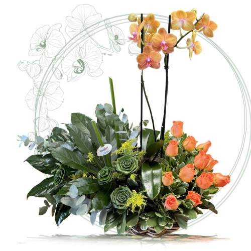 Orquideas 63