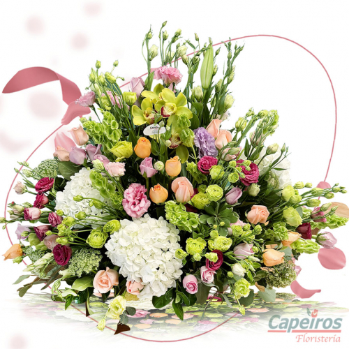 Primaverales 121
