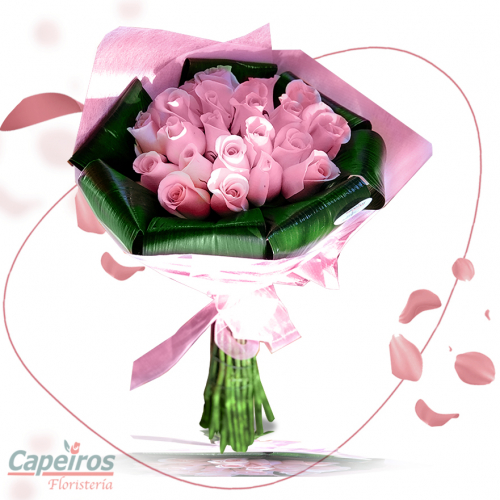Rosas 123