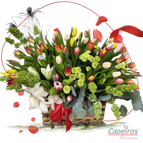 Tulipanes 48