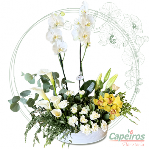 Orquideas 69