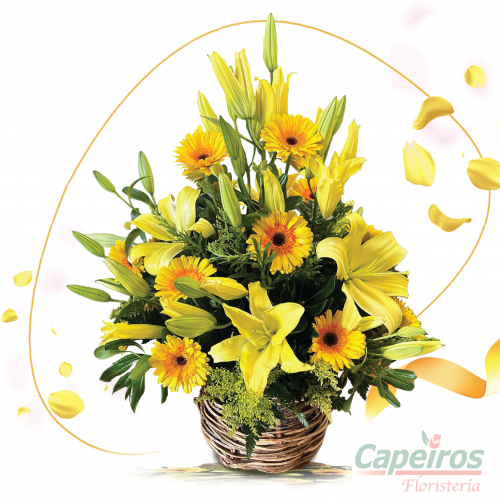 Primaverales 131