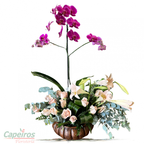 Orquideas 71