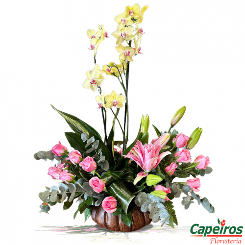Orquideas 72