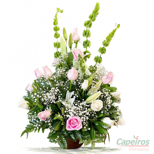 Rosas 149
