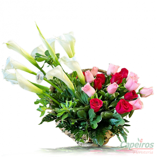 Rosas 161