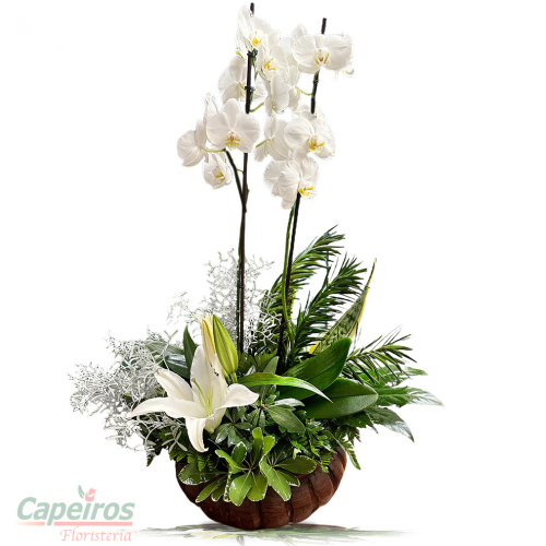 Orquideas 78