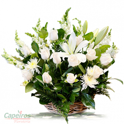 Condolencias 45