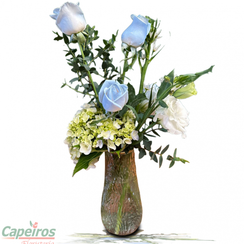Rosas 165