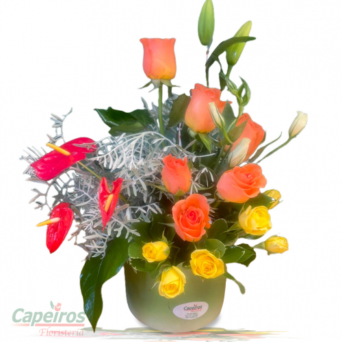 Rosas 170