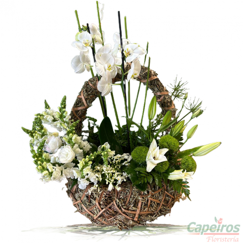 Condolencias 046