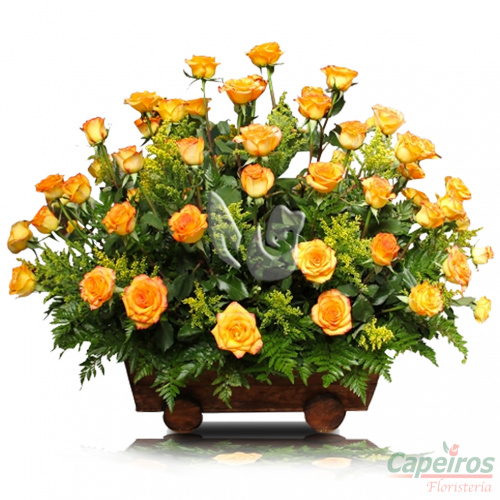 Rosas 001