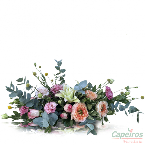 Rosas 172