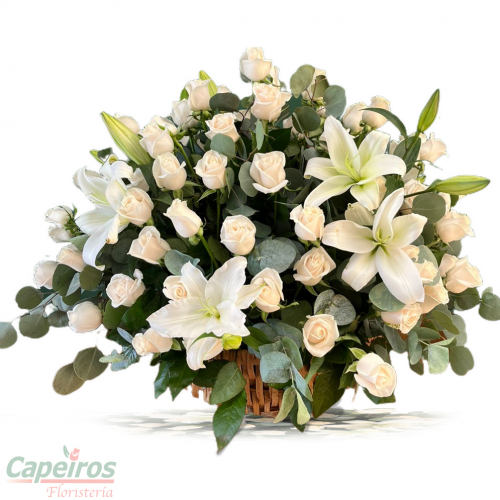 Condolencias 48